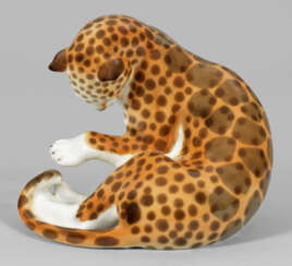 Sitzender, junger Leopard