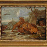 Frans Snyders - photo 1