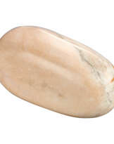 Willmann, Thomas Thaddäus