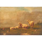 Unbekannter Tiermaler 'Schafe, Enten und Hühner', 19. Jahrhundert - photo 1