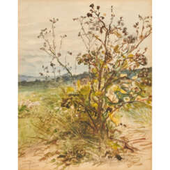 PETERS, ANNA (1843-1926) 'Strauch in Landschaft'.