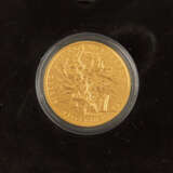 BRD/GOLD - 11 x 100 Euro in Gold zu je 1/2 Unze fein, - Foto 3