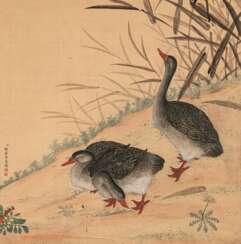 Drei Enten im Stil von Giuseppe Castiglione