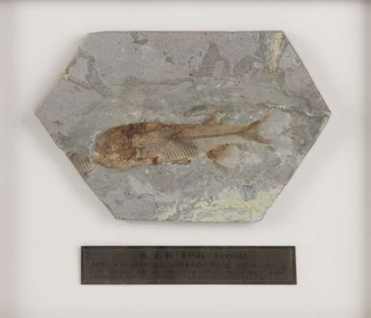 Lackbild mit zwei Glücksgöttern und Schriftzeichen, zwei dreiteilige Sets von Pekingoper-Masken aus Ton und Tafel von Lycoptera-Fossil - photo 1