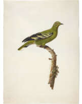 KNIP, Pauline, née Rifer de Courcelles (1781-1851)