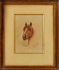 Armand POINT (1860-1932). Buste de cheval