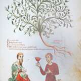 Medicina antiqua libri quattuor medecinae. - фото 1