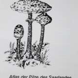Pilze Mitteleuropas., Die. - photo 4