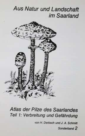 Pilze Mitteleuropas., Die. - фото 4