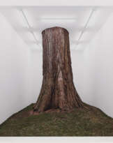 Fabian Knecht. Isolation (Stamm)