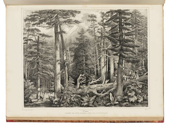 L&#220;TKE, Friedrich von (1797-1882) - Foto 1