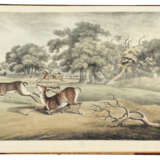 ALKEN, Samuel (1756-1815) - Foto 3