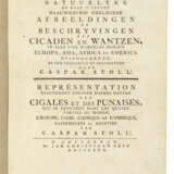 STOLL, Caspar (d.1795) - Foto 5