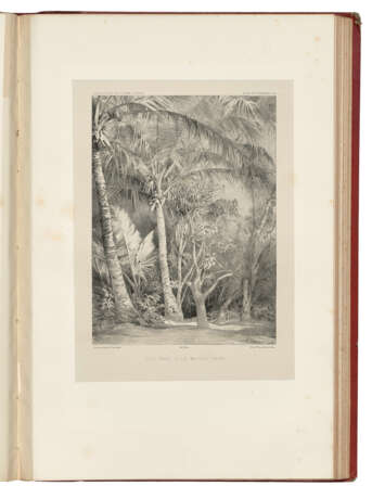 DUMONT D`URVILLE, Jules S&#233;bastien C&#233;sar (1790-1842) - фото 7