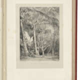 DUMONT D`URVILLE, Jules S&#233;bastien C&#233;sar (1790-1842) - фото 7