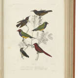DUMONT D`URVILLE, Jules S&#233;bastien C&#233;sar (1790-1842) - фото 8