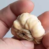 Netsuke von Ueda Kohosai (gest.1907 in Osaka) - Foto 7