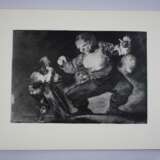 Francisco Jose de Goya y Lucientes - photo 3