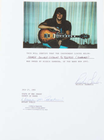 E-Gitarre, Hamer Sunburst "Richie Sambora" - фото 3