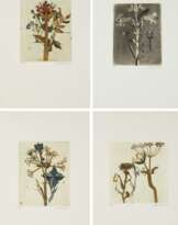 Brigitte Coudrain. Pour un herbier