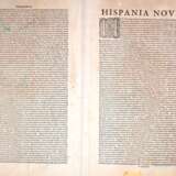 Hispaniae Novae Nova Descriptio, wohl 17. Jh. - фото 4
