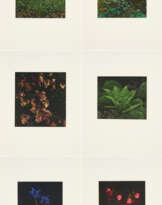 Balthasar Burkhard. Nature Morte