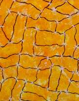 Mosaic. Sunny day! Mosaic. Sunny day!