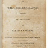 The Constitution and Laws of the Cherokee Nation - фото 1
