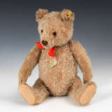 "Original Teddy", STEIFF. - photo 1