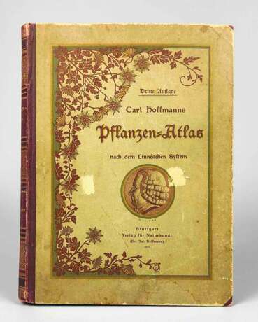 Pflanzen-Atlas Stuttgart 1901 - Foto 1
