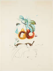 Salvador Dalí. Fruits troués (From: Flordali/Les Fruits)