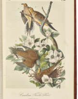 The Birds and The Quadrupeds