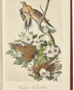 John James Audubon. The Birds and The Quadrupeds