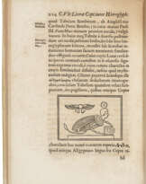Prodromus coptus sive aegyptiacus
