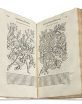 Commentarii in sex libros Pedacii Dioscoridis Anazarbei de Medica materia