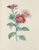 La Botanique