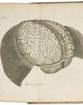 Neurographia universalis