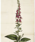 William Withering. An Account of the Foxglove