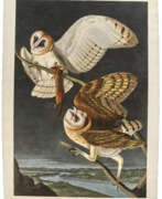 John James Audubon. Barn Owl