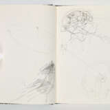 Joseph Beuys. Zeichnungen zu Leonardo "Codices Madrid" - Foto 4
