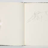Joseph Beuys. Zeichnungen zu Leonardo "Codices Madrid" - Foto 5