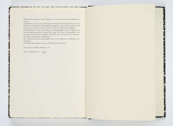 Joseph Beuys. Zeichnungen zu Leonardo "Codices Madrid" - photo 9