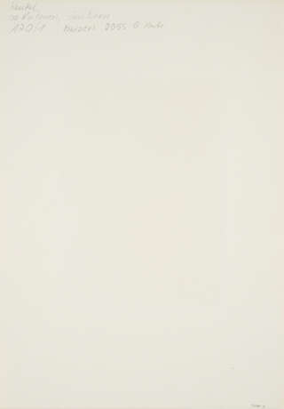 Joseph Beuys. Frau mit Filterbeutel und Futterkrippe - photo 3