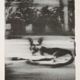 Gerhard Richter. Schäferhund - photo 1