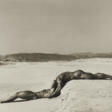 HERB RITTS (1952-2002) - Auktionsware