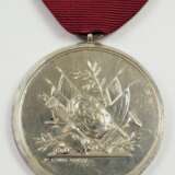 Braunschweig: Silberne Peninsula Medaille (1810-1914), für Offiziere. - Foto 1