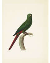 JACQUES BARRABAND (AUBUSSON 1768-1809 LYON)