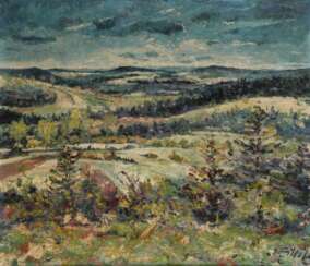 STEIB, Josef: Weite Landschaft.