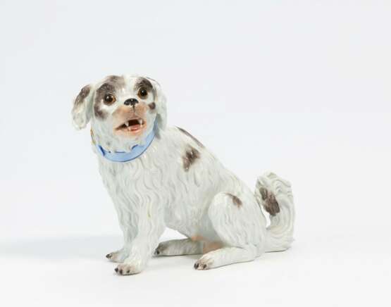 Meissen. Spaniel - photo 1