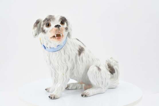 Meissen. Spaniel - photo 2